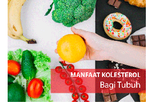 Kolesterol Ternyata Memiliki Manfaat Bagi Tubuh